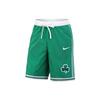 Boston Celtics NBA Logo Print Athletic Casual Breathable Straight Leg Basketball Pants Men Pants Green CV5595-312