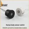 12V 2A Infrared Motion Sensor LED Switch: Auto On/Off with Human Detection