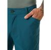 Helly Hansen Шорты ELV Light Tur