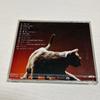 Used Porno Graffitti Romancer Egoist CD