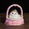 Children's Luminous Kitten Plush Doll Flower Basket - Perfect for Girl's Birthday or Christmas Gift