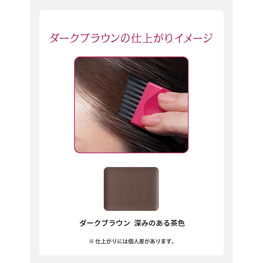 PRIOR Hair Foundationfor Gray Hair 3.6g - Natural Gray Coverage Touch-up Hair Concealer