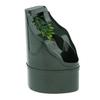 Reptile – Terarii pentru reptile