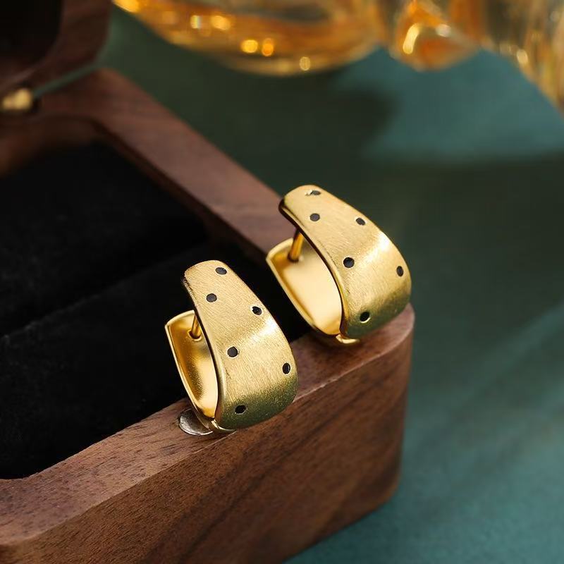 Cold Wind Brushed Black Small Polka Dot Earrings Women's Light Luxury High-end Earrings Niche Unique and Beautiful Earrings