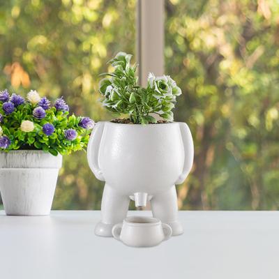 Piss Pots Planter Peeing Planter Piss Pots Flower Pots Piss Pots Plant Funny Plant Pots Succulents Pots with Drainage