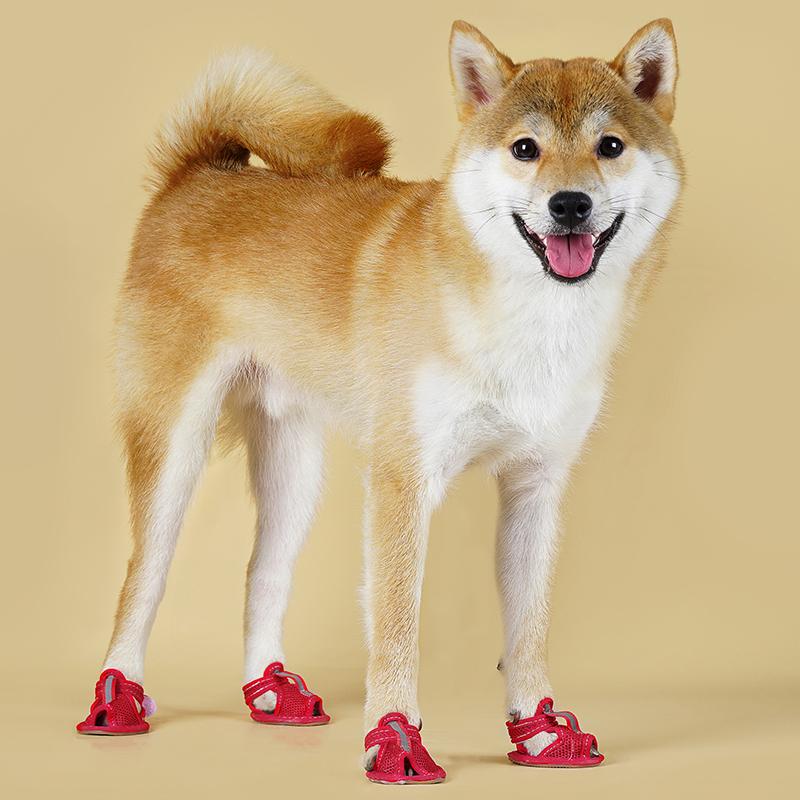 Set da 4 Pezzi Sandali per Animali Domestici Estivi Accessori per Passeggiate con Cani Scarpe Traspiranti in Rete per Cani Piccoli Chihuahua Pomerania Schnauzer Cucciolo buty dla psa