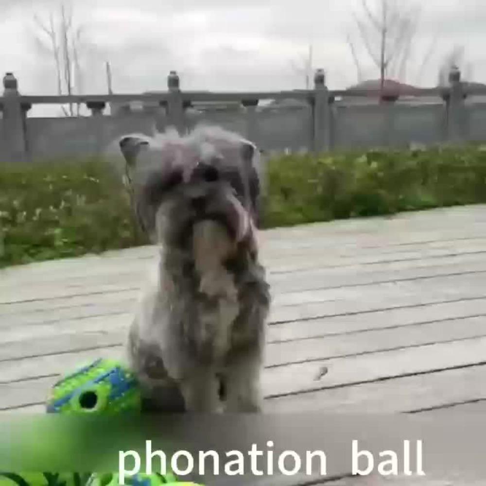 Squeaky Dog Chew Toy Ball Interactive Sound Making Training Play Safe Indoor Outdoor Gift for Puppies Pets