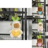 Adorable Capybara Plush Doll In Various Colors Featuring Soft Short Plush Fabric For Kids