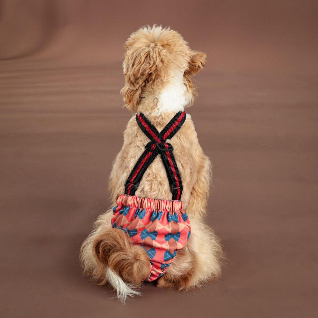 Large Dog Physiological Safety Suspenders - Female Dog Menstrual Anti-Harassment Pants