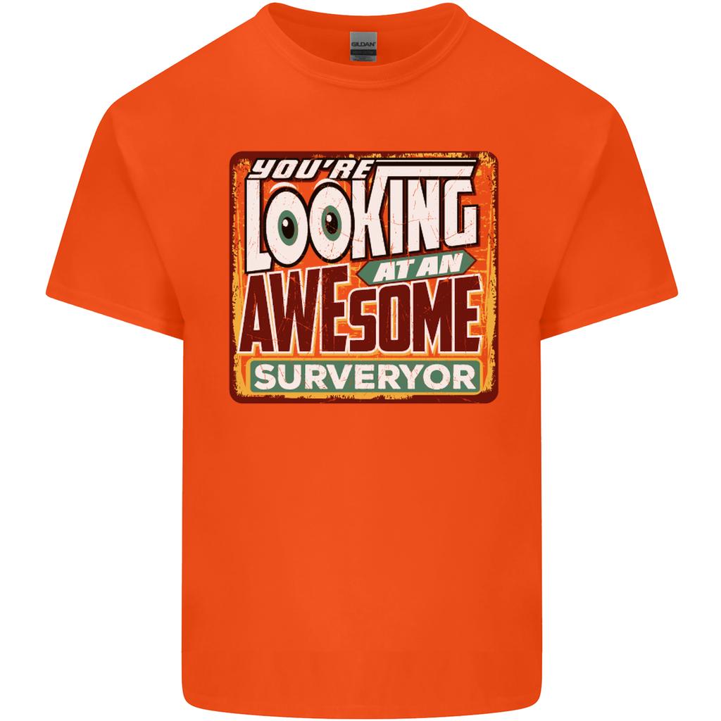 Youre Looking At an Awesome Surveyor Unisexs Light Cotton TShirt