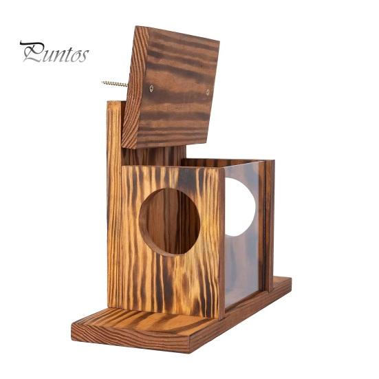 

Деревянная коробка для кормления белок, большая кормушка для бурундука из сосны, прозрачная акриловая передняя панель, кормушка для фруктов кукурузы с откидной крышкой для садового патио коричневый