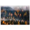 Canvas Print Autumn Tree Landscape