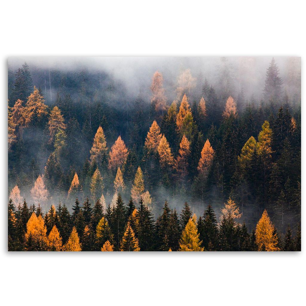 Canvas Print Autumn Tree Landscape