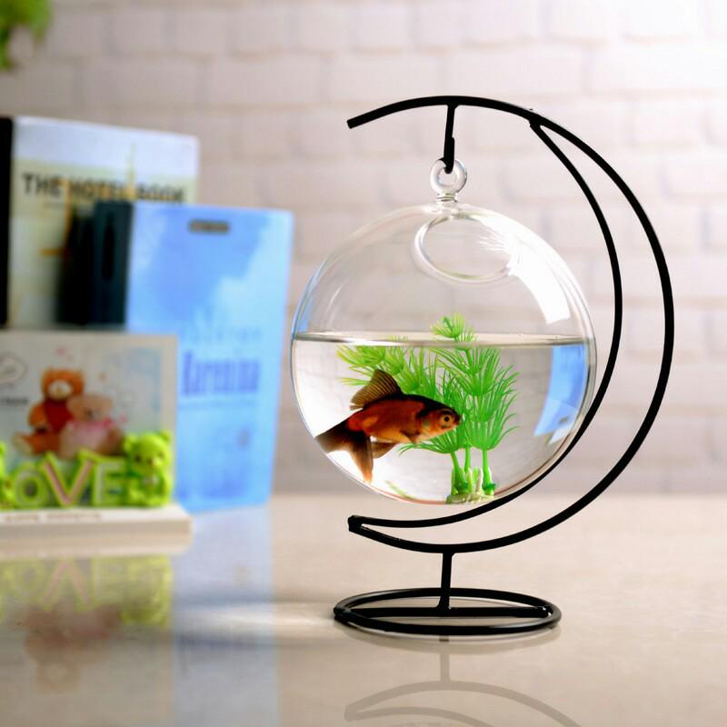 Kreatives Mikro-Landschafts-Kampffisch-Aquarium - Modisches Glas-Fischglas-Dekorationsobjekt für die Heimdekoration, Kleine Geschenke