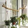 Natural Driftwood Hanging Clothes Rail: Solid Wood Tree Trunk for Decorative Wall Partition In Living Room or Hotel.