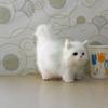 Fluffy Plush Cat Doll Cute Stuffed Cat Animal Toy Desk Ornament for Home Xmas Decor