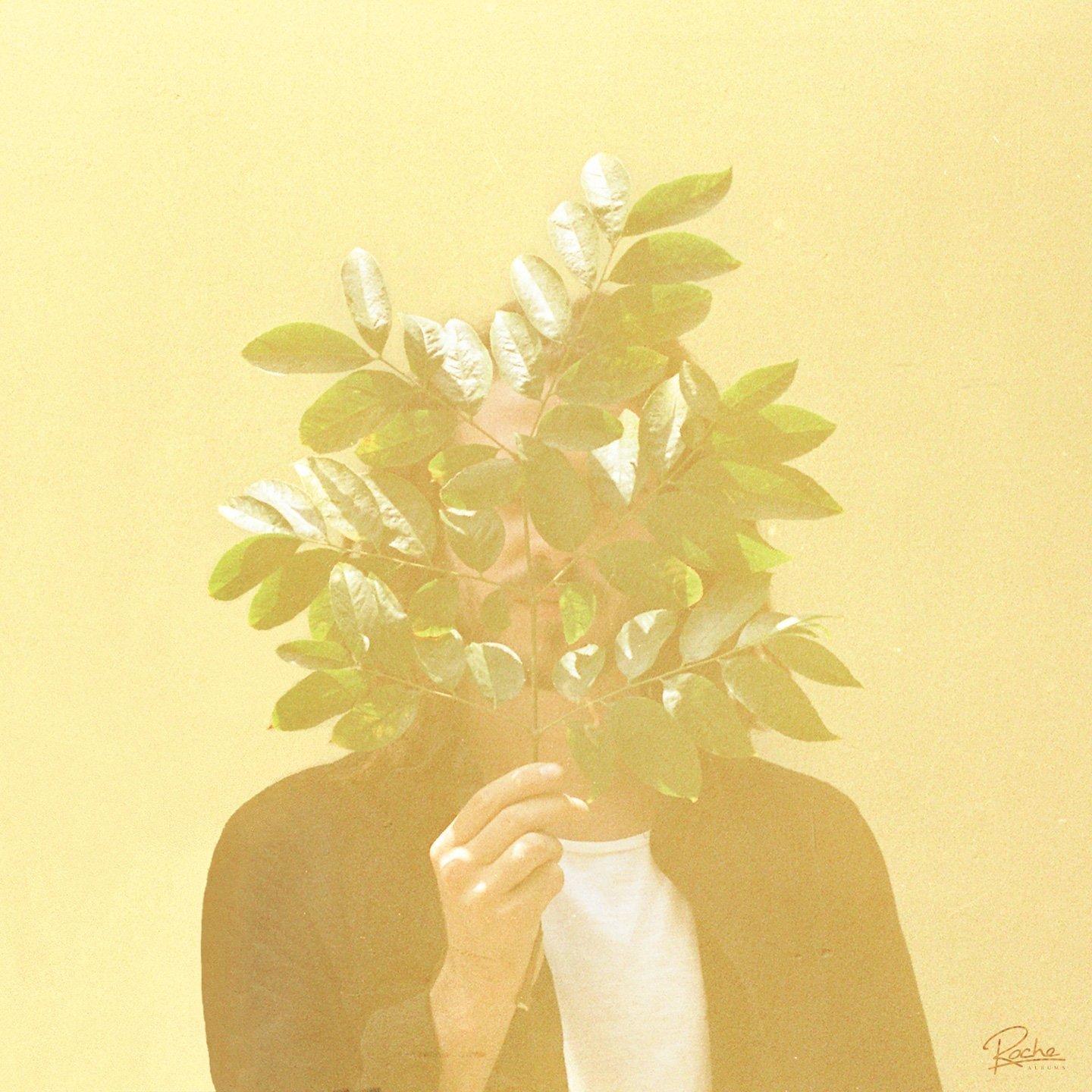 

French Kiwi Juice [Domestic edition]