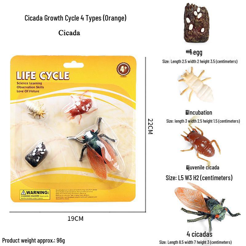 Cross-border Simulation Animal Suction Toy: Butterfly, Rooster, Ant, Frog, Sea Turtle, Mosquito Growth Cycle Models