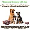 Repeatedly Machine Wash Washable Female Dog Physiology Leak-proof Protection Pet Dog Diapers Safety Shorts Velcro Easy To Wear