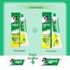 Darlie Double Mint Toothpaste 3-Pack (3x175g)