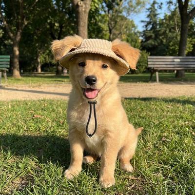 Cute Breathable Corduroy Dog Hat Exposed Ears Adjustable Strap Pet Sun Hat Comfortable Dog Sunscreen Hat For Dogs Cats
