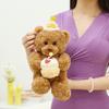 Bear Cake Birthday Animal Plush Toy Cartoon Stuffed Doll Room Decoration Gift