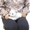 Sunlemon Knee Cat Odd Eye White SS 11 x 12 x 29cm Stuffed Animal P-8042