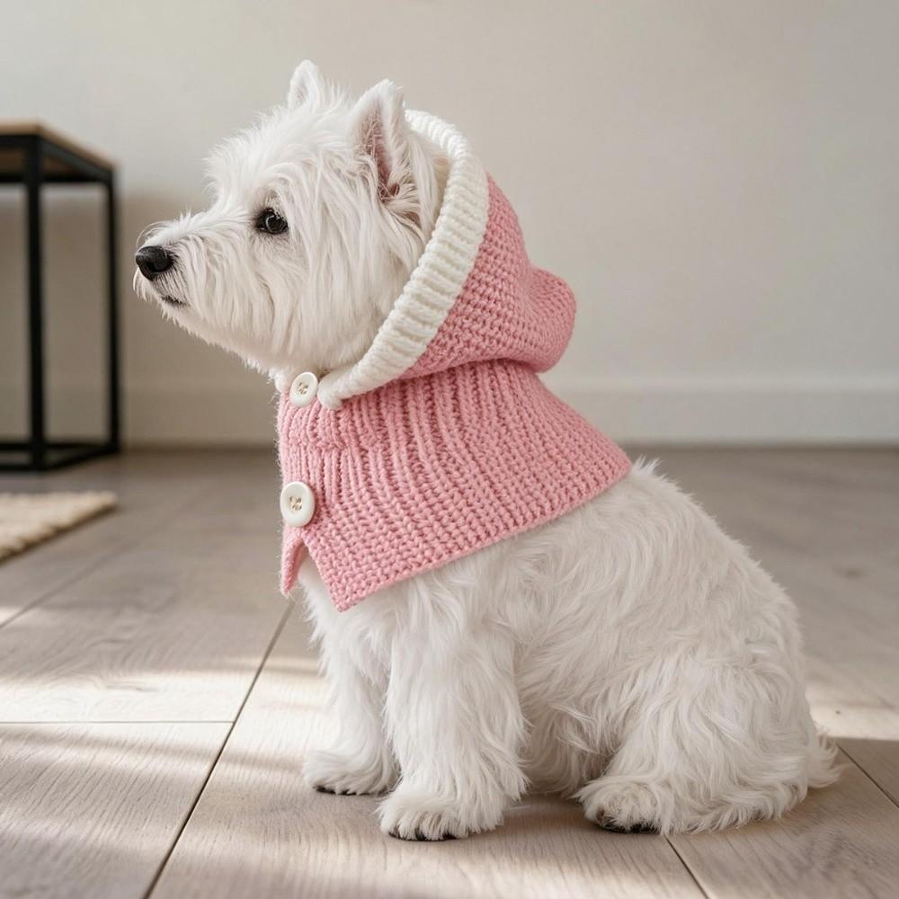 Ruffle Trim Pet Knitted Hat Button Detail Cat Knitted Hat New Pet Pullover Cap for Small Dogs