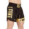Leone 1947 DNA Shorts, Unisex Muay Thai/Kickboxing Shorts, Satin Fabric with Elastic Waist (Size M), Black/Gold, AB966 [Authentic]