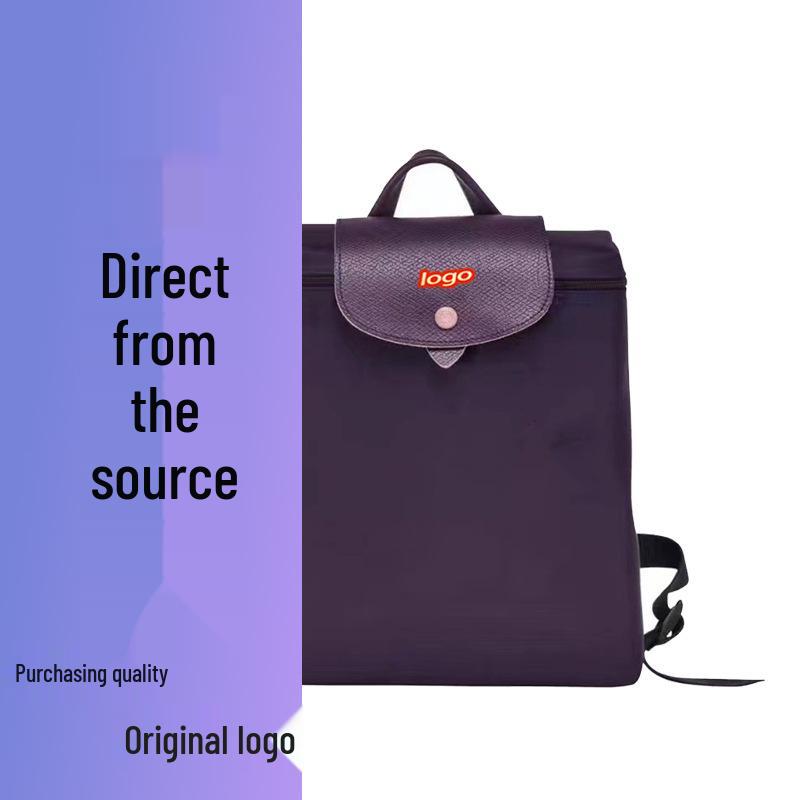French Dragon Inlay Waterproof Nylon Backpack with Phone and ID Pocket - Women's Casual Street Style