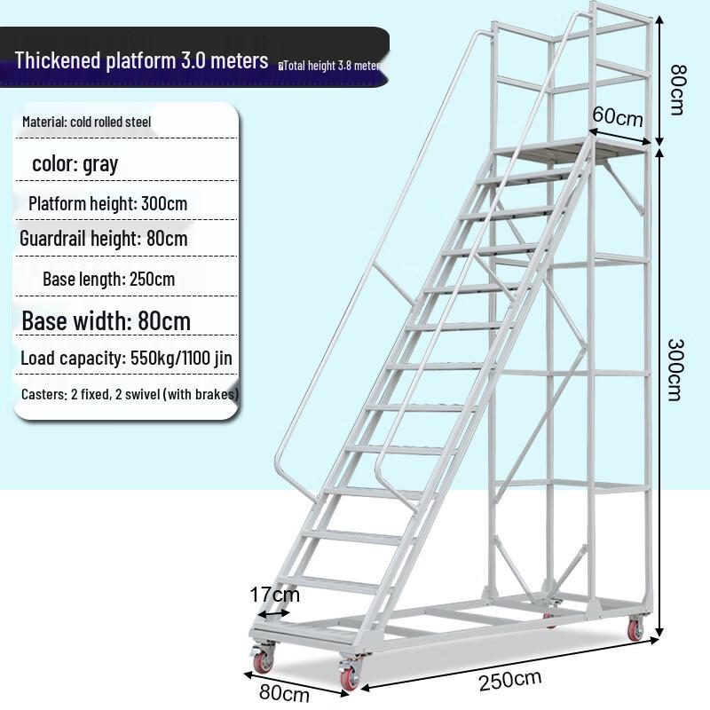 Detachable Warehouse Ladder Trolley with 3.0m Platform