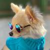 Vintage Funny Reflection For Small Dog Cat Lovely Decoration Pet Glasses Photos Props Eye Wear Sunglasses