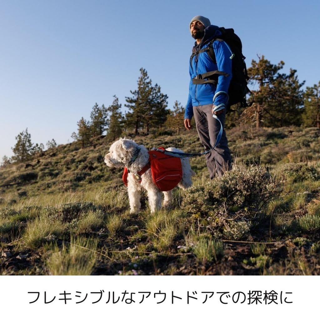 Official RUFFWEAR Crag Leash Alpine Dusk