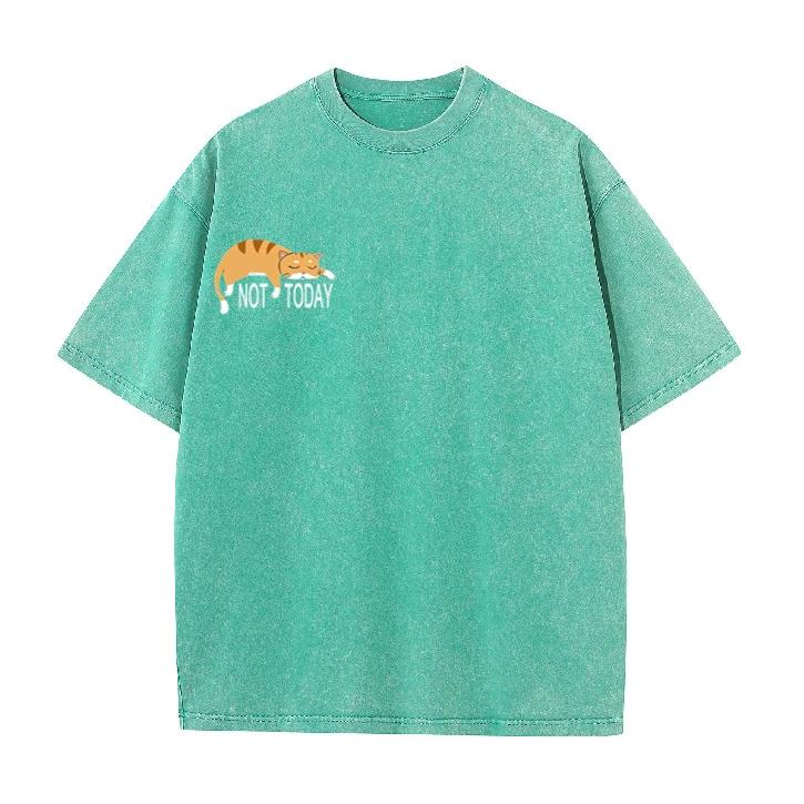 Not Today Lazy Cat Graphic TShirt Vintage Washed Oversized Cotton Tee Cute Cat Streetwear Tops for Men Women