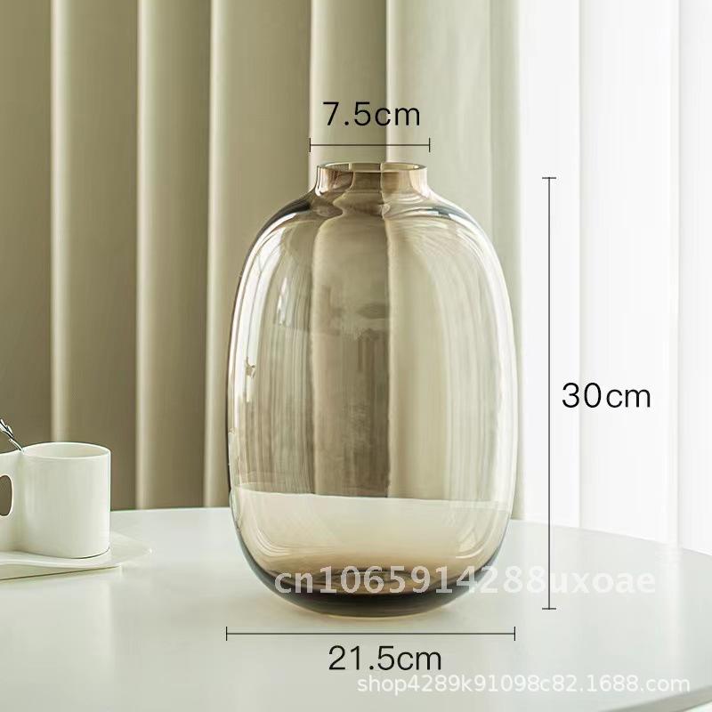 Simple Glass Vase, Living Room, Horse Drunk Wood, Hanging Clock, Hydroponic Glass Vase, Big Belly Vase, Office Ornament