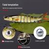 9-Section Bionic Loach Soft Bait Set: Long Cast, Slow Sinking, 10cm/10g, Realistic Fishing Lure