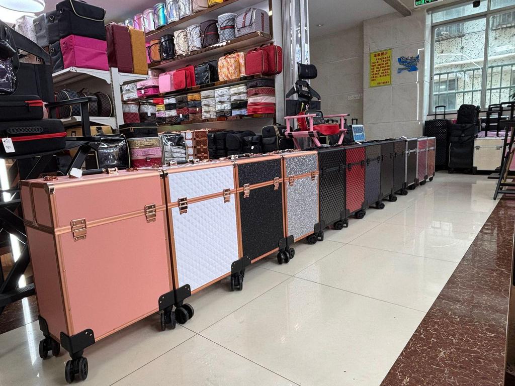 Largest Capacity Wheeled Makeup & Nail Art Case for Professionals