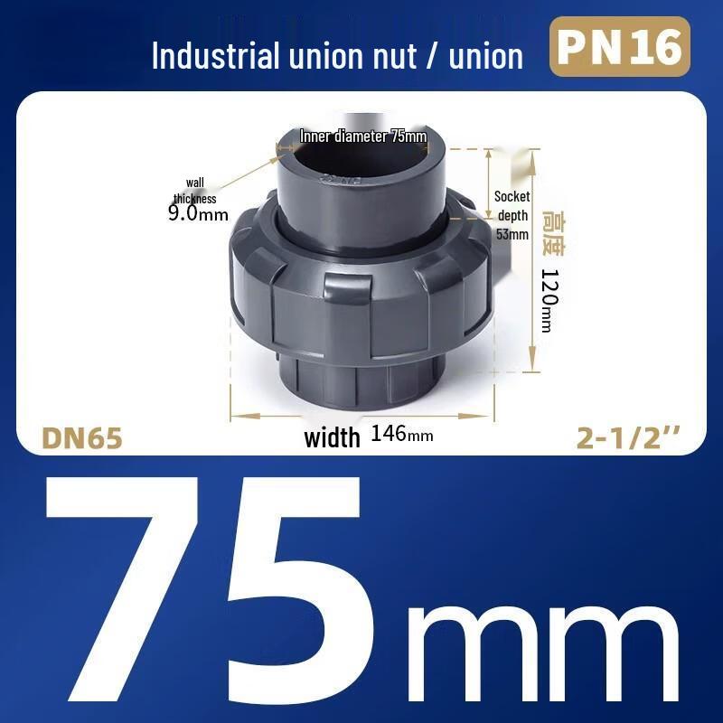 Feiya UPVC Industrial Quick Coupling Union
