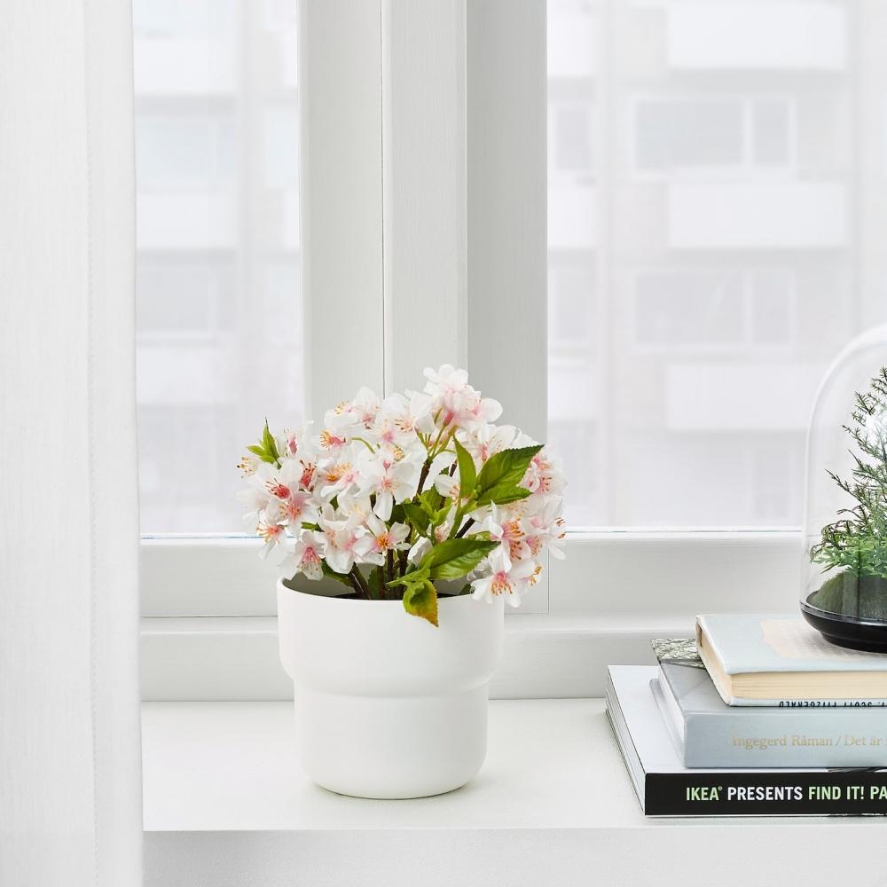 IKEA F RENLIG Pflanztopf in Auenwei 9 cm gnstig kaufen  Preis,  kostenloser Versand, echte Bewertungen mit Fotos  Joom