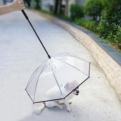 Führende Klare Haustier Hundeschirme C-förmiger Griff Verstellbarer Hunde Poncho mit Leine Regendicht Regenmantel für Hunde Kleiner Hund