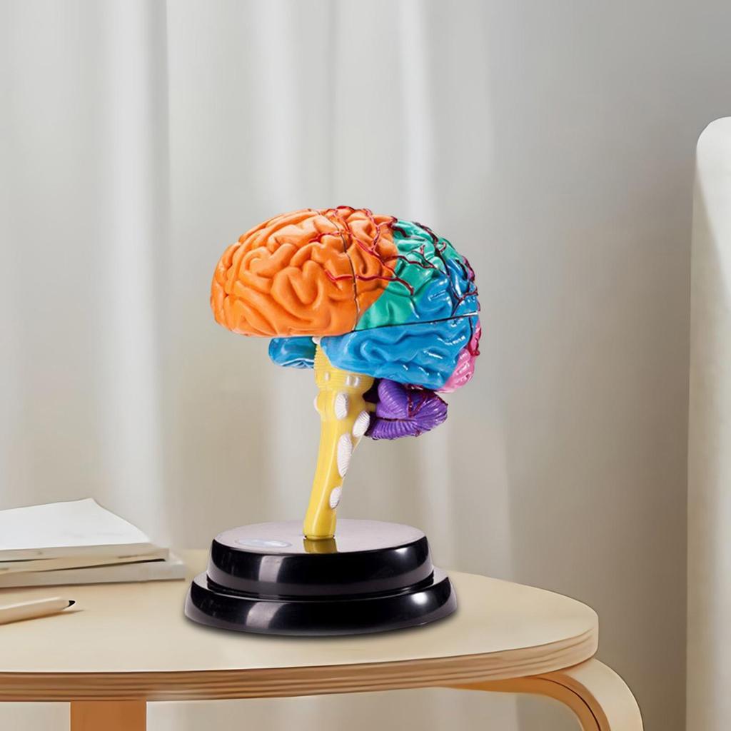 Model Disassembled Educational Toy for Teaching