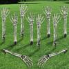 Set of 8 Skeleton Arm Decorations for Halloween, Realistic Skeleton Hands, Garden Decorations, Lawn