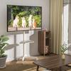 TV Stand with TV High TV Stand Vertical TV VESA Up To 40x40 Load Capacity 40 for Home Office White 1 Casters, Stand, Type/low Type, 23-55 Inches,