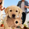 Dog Squeaky Toys Long Lasting Chew Squeaker Doll Small Dog Toys For Puppy Pet Outdoor Play Relaxing Home Livingroom Bedroom