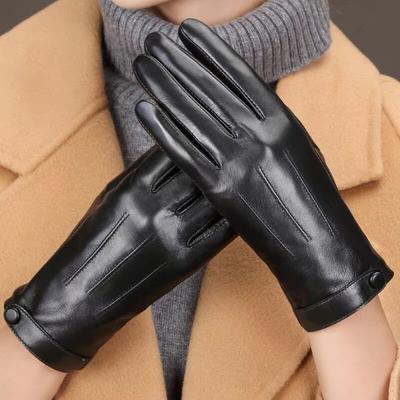 Women's Winter Leather Gloves Cycling Driving Cold and Windproof Velvet Warm Touch Screen Korean Version of Fashion Gloves