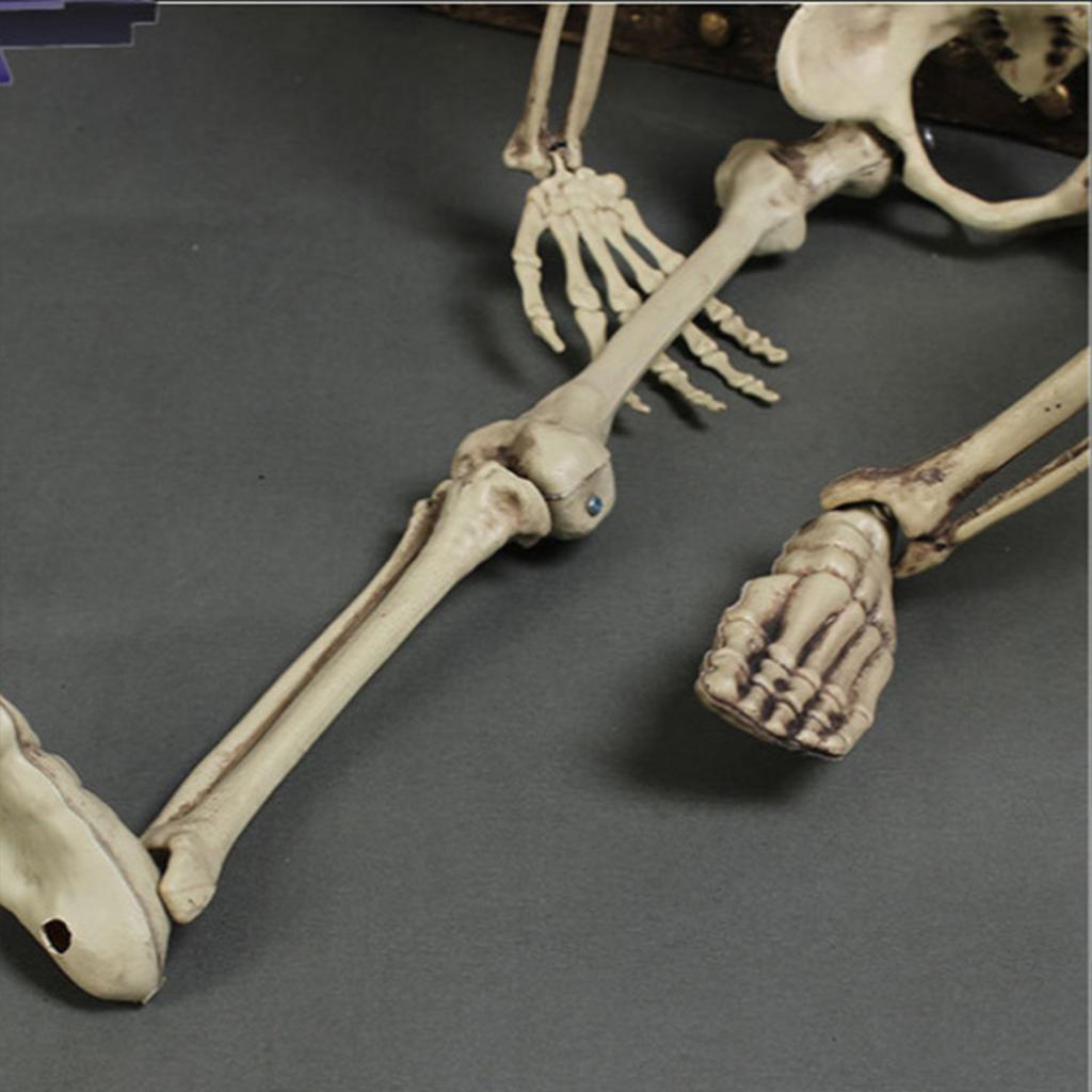 Halloween Movable Skull Skeleton Life Size Full Body Posable Joints Skeletons for Children Girls Boys Party Gift