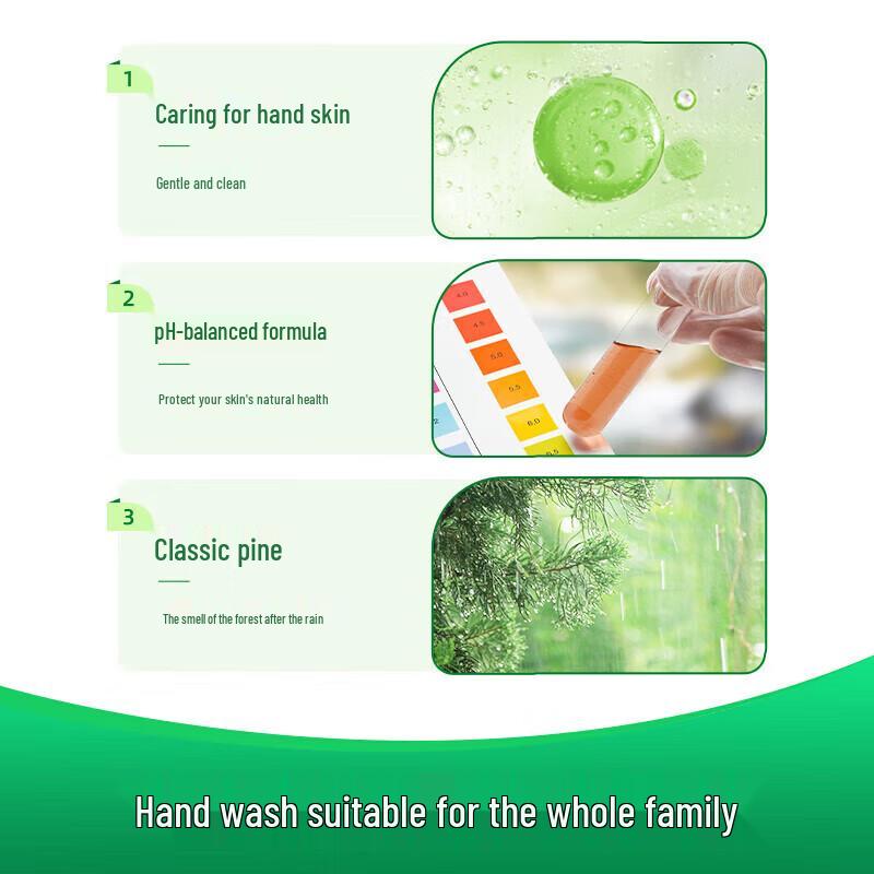 Dettol Hand Wash Duo Pack (Moisturizing & Pine)