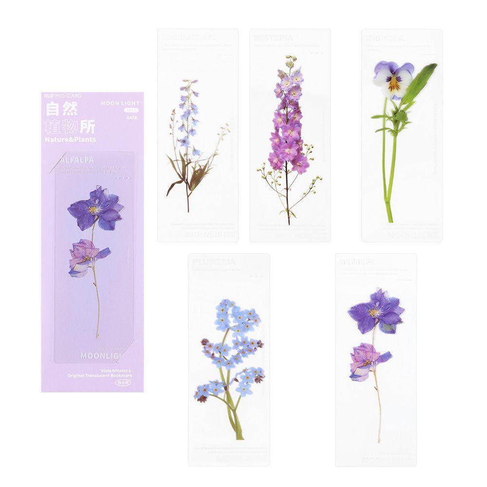 Note Marker Leaf Vein Specimen Bookmarks Bookmarks Card Nature Plants Bookmarks Translucent Flower