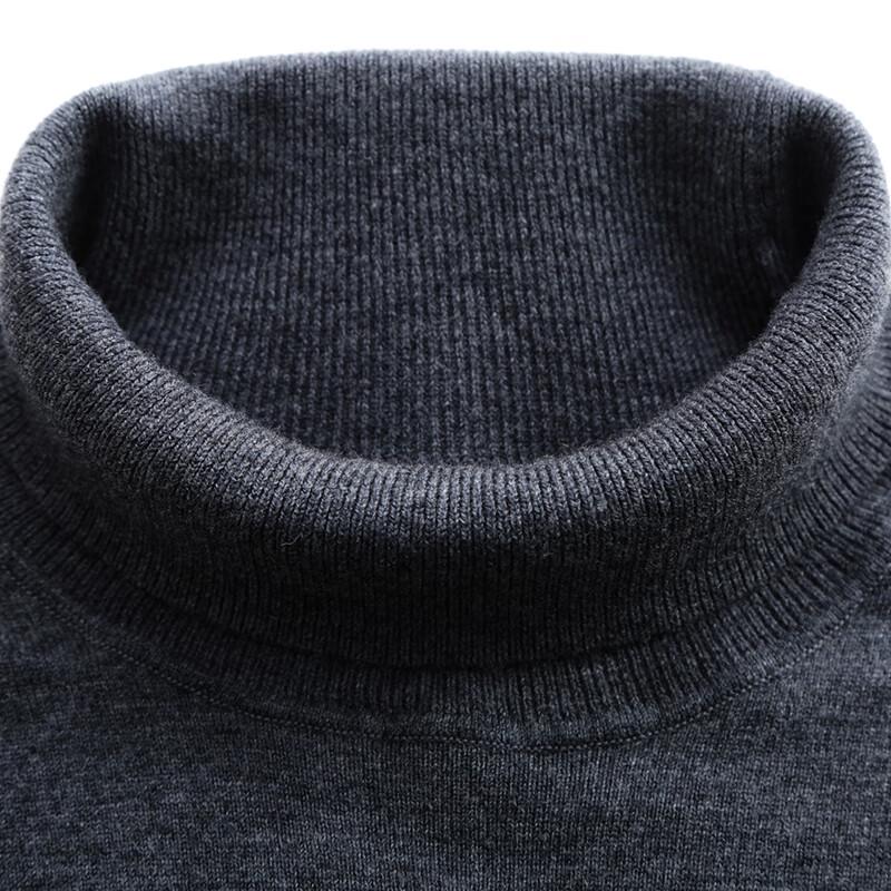 Pierre Cardin Men's Thin 100% Wool High-Neck Sweater