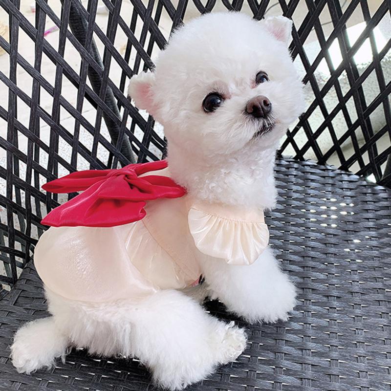 Bow Dog Princess Dress Summer Dog Clothes Lace Thin Puppy Skirt Girls Dog Costume Chihuahua Bichon Cat Dresses Dog Clothing 2025